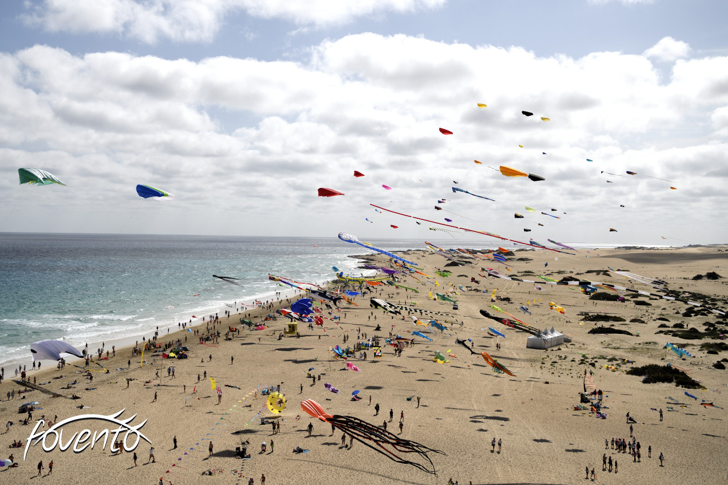 Drachenfestival Fuerteventura November 2022